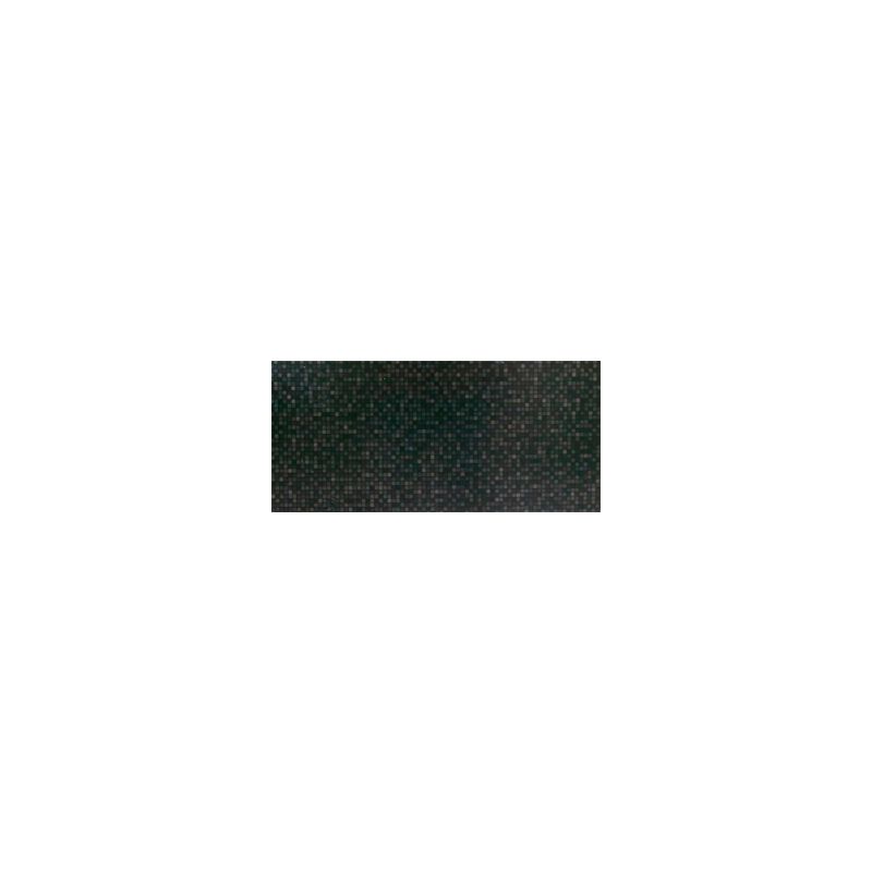Aurea Negro 25x50 15353